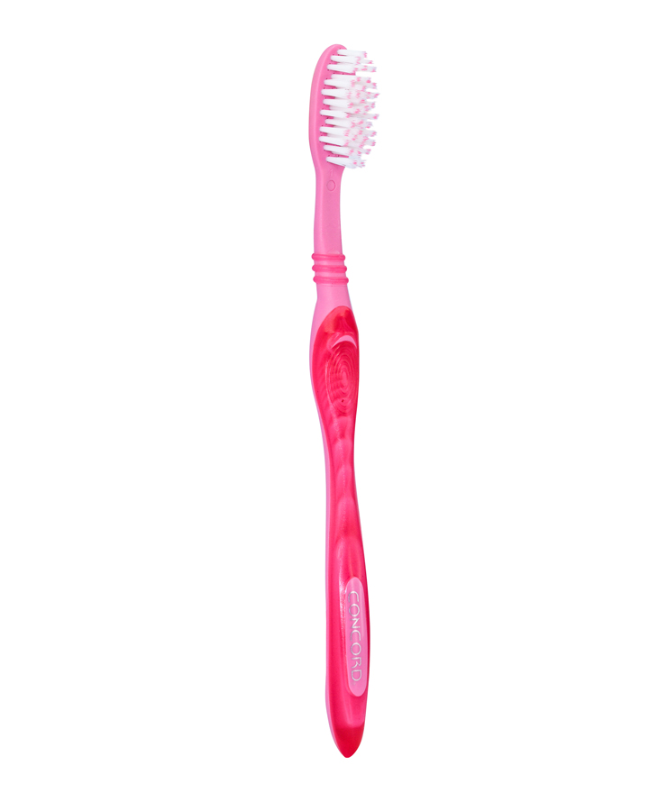 CONCORD T/BRUSH MULTI COLOUR. - RGS-260