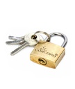 CONCORD PADLOCK BRASS 20MM - CPL281 قفل