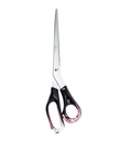 Cconcord Scissor 10" - كونكورد مقص