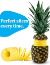 CONCORD PINEAPPLE CORER - CPC01