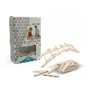 WhatsApp Image 2025-09-16 at 8.41.48 PM.webp