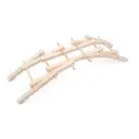 WhatsApp Image 2025-09-16 at 8.41.49 PM.webp