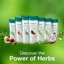 SH HIMALAYA ASSORTED 400ML - شامبو هيمالايا ضد القشرة