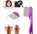 LICE COMB YEUBY BEAR BIG (8003) 503142 - JBM-314 -  مشط القمل